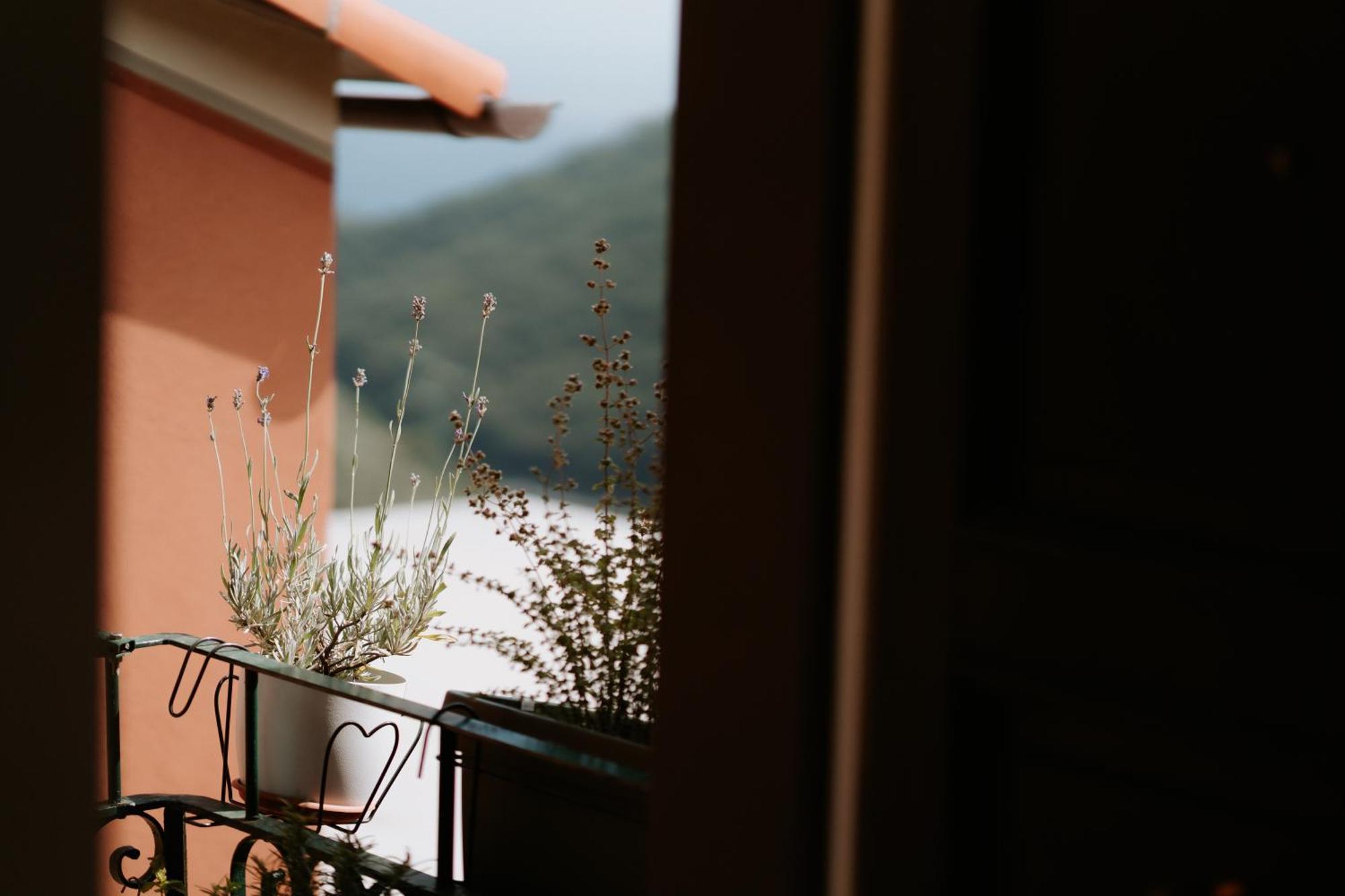Il Castagno Holiday Home Teriasca Εξωτερικό φωτογραφία